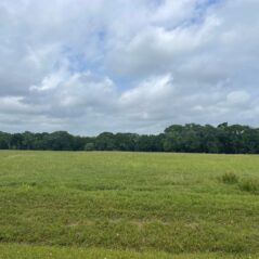 blessing tx land for sale