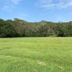 blessing land for sale