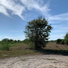 palacios land for sale